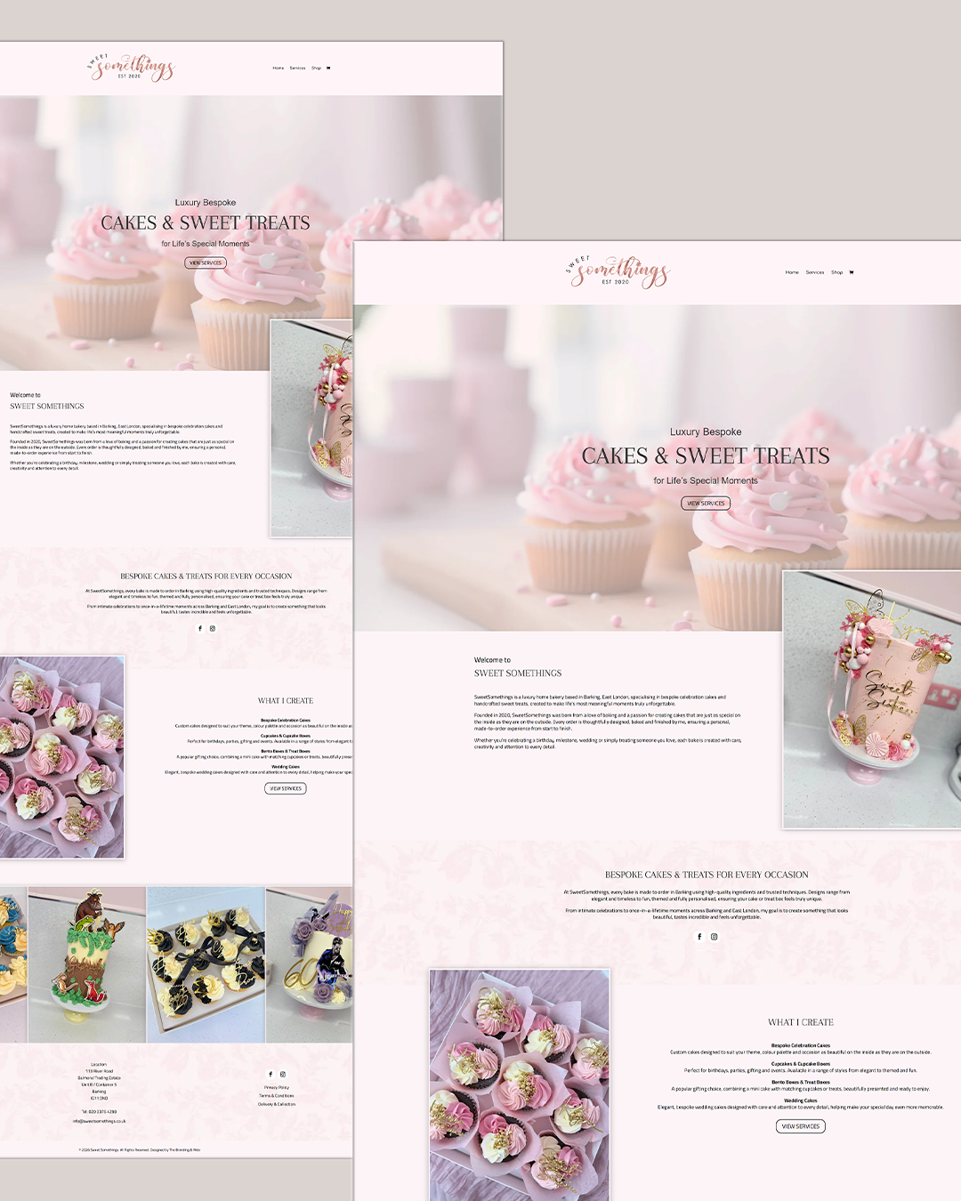 Professional website design project